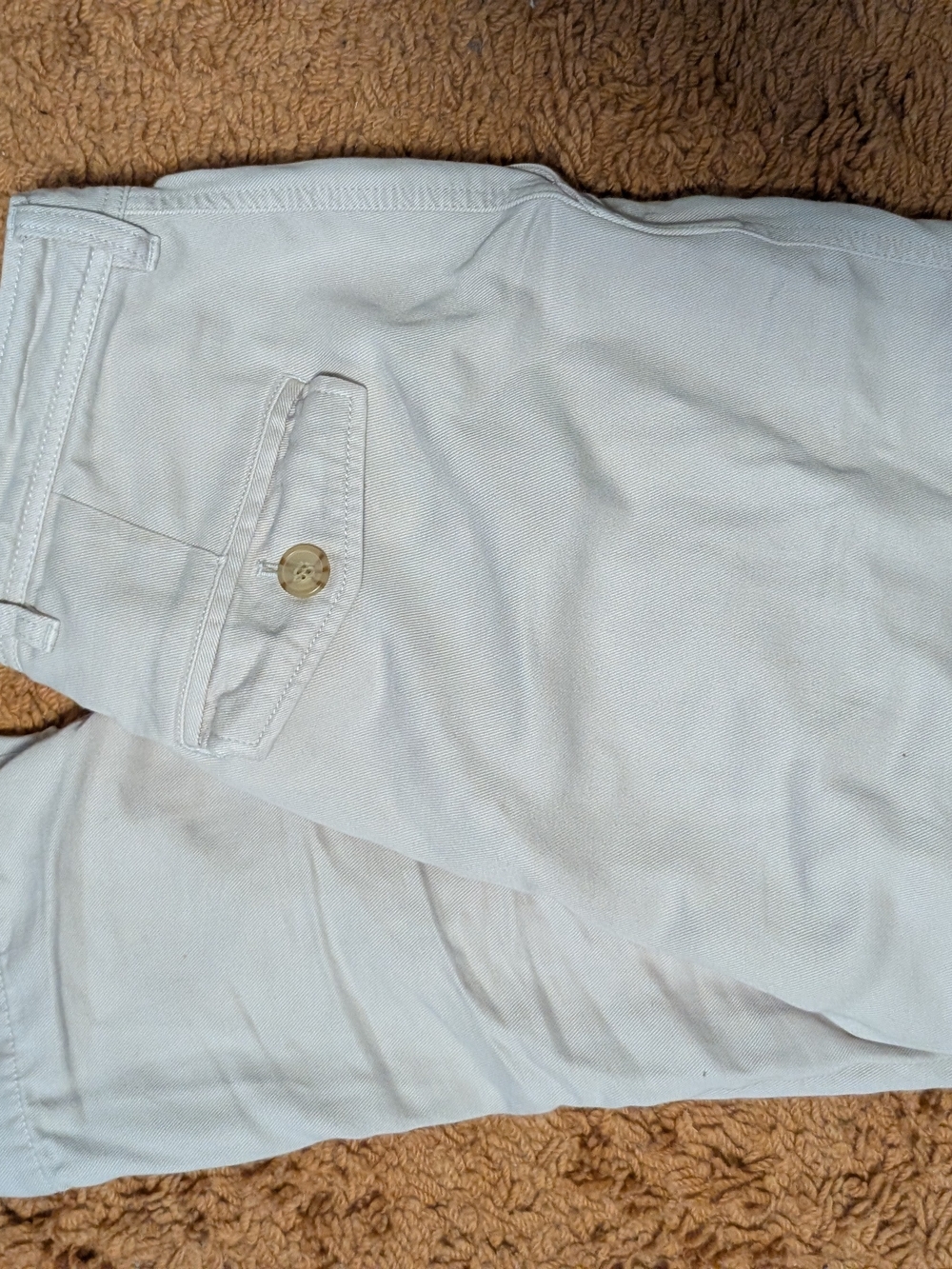 Everlane Chino